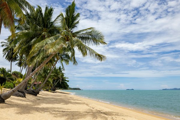 Créez un séjour personnalisé inoubliable en roulotte : transformez votre aventure