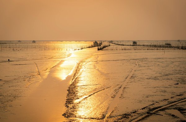 Séjour en famille à l'île maurice : le guide des activités à découvrir